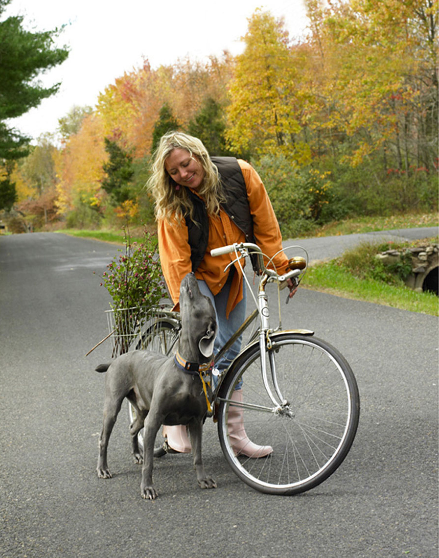 CL_Bike
