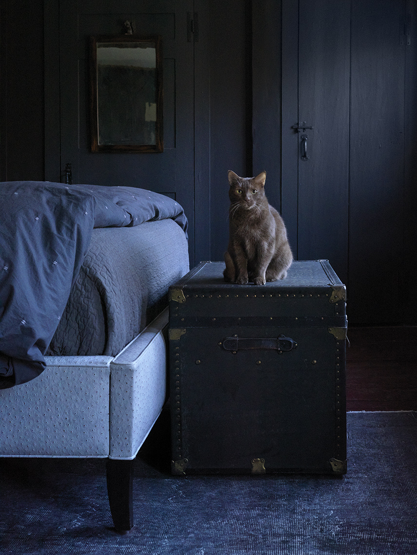 Cat_Nyla